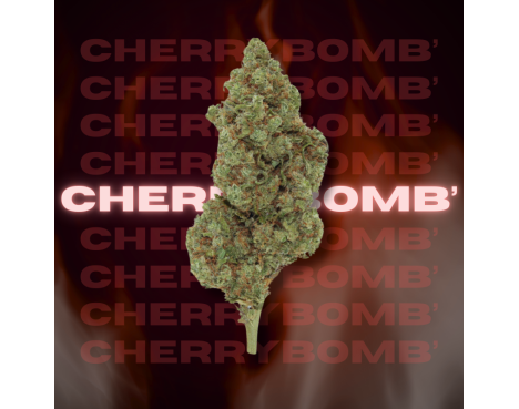 CHERRY BOMB ' Hydro