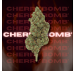CHERRY BOMB ' Hydro