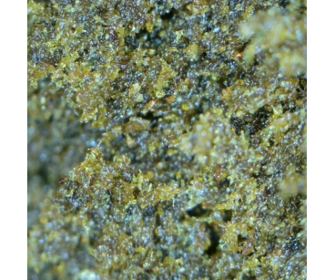 JELLY HASH CBN 50GR