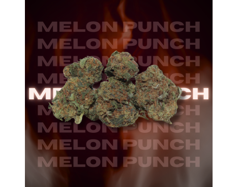 MELON PUNCH SMALL BUDS