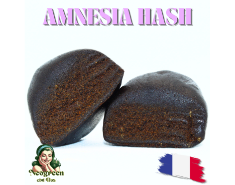 🔵 AMNESIA HASH 25% CBD