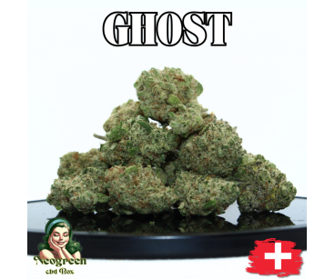 GHOST US HYDRO SMALL BUDS