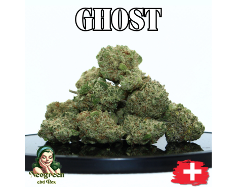 GHOST HYDRO SMALL BUDS