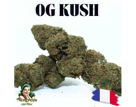 OG KUSH - ESSENTIELLE ⭐