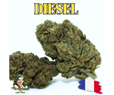 DIESEL - ESSENTIELLE ⭐