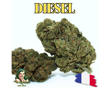 DIESEL - ESSENTIELLE ⭐