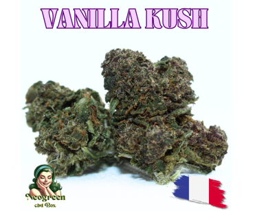 VANILLA KUSH - ESSENTIELLE ⭐