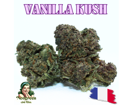 VANILLA KUSH - ESSENTIELLE ⭐