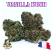 VANILLA KUSH - ESSENTIELLE ⭐