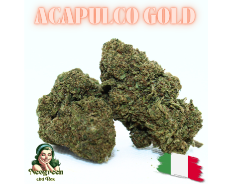 ACAPULCO GOLD - ESSENTIELLE ⭐