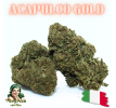 ACAPULCO GOLD - ESSENTIELLE ⭐