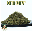 LE NEO MIX' 2024 - GROSSES QUANTITES