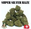 SUPER SILVER HAZE - MINI DIVINE 💎