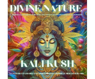 KALI KUSH - MINI DIVINE 💎