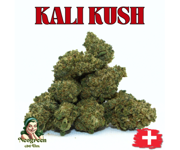 KALI KUSH - GROSSES QUANTITES