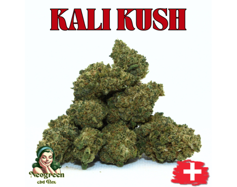 KALI KUSH - GROSSES QUANTITES