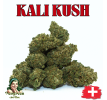 KALI KUSH - GROSSES QUANTITES