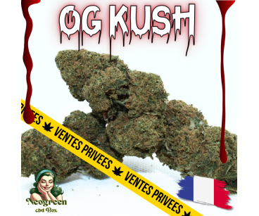 OG KUSH - ESSENTIELLE ⭐