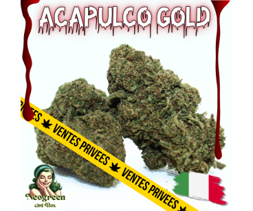 ACAPULCO GOLD - ESSENTIELLE ⭐