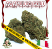 ACAPULCO GOLD - ESSENTIELLE ⭐