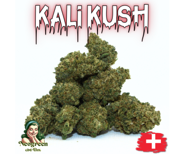 KALI KUSH - MINI DIVINE 💎