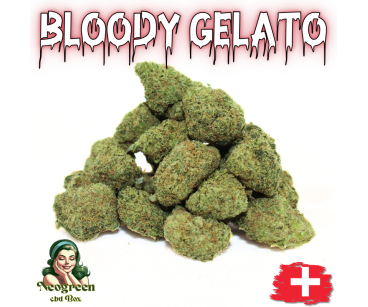 BLOODY GELATO - MINI DIVINE 💎