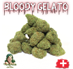 BLOODY GELATO - MINI DIVINE 💎