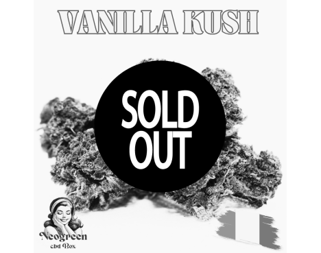 VANILLA KUSH - ESSENTIELLE ⭐