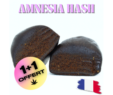 🔵 AMNESIA HASH 25% CBD