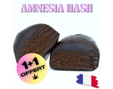 🔵 AMNESIA HASH 25% CBD