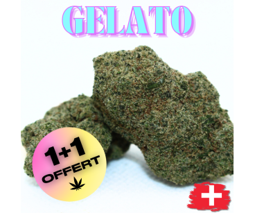 GELATO "CALI STYLE" - DIVINE 💎