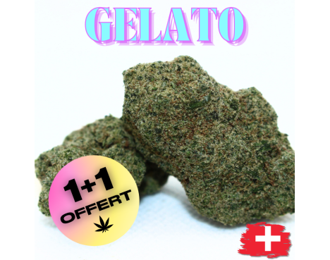 GELATO "CALI STYLE" - DIVINE 💎