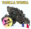 VANILLA WONKA [Série Limitée !] - DIVINE 💎