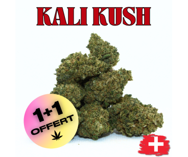 KALI KUSH - MINI DIVINE 💎