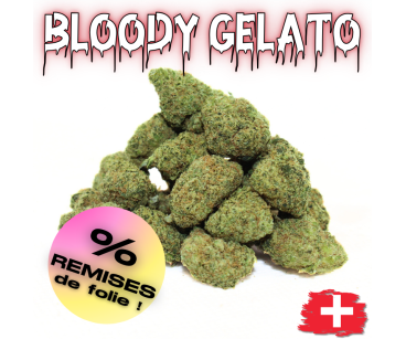 BLOODY GELATO - MINI DIVINE 💎