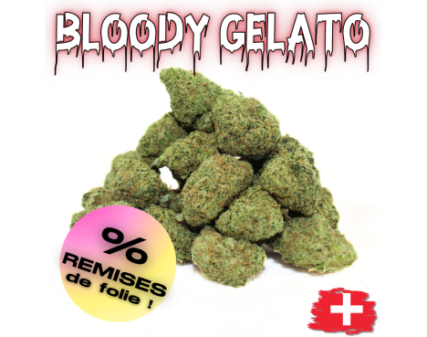 BLOODY GELATO - MINI DIVINE 💎