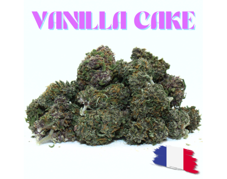 VANILLA CAKE - MINI ESSENTIELLE ⭐ 100GR