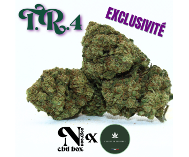 T.R.4 - EXCLUSIVITE [L'HERBE EN PROVENCE]