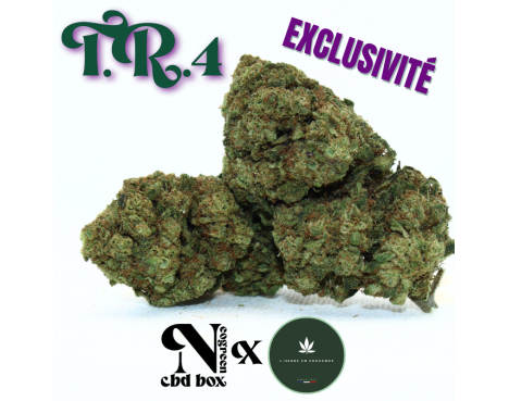 T.R.4 - EXCLUSIVITE [L'HERBE EN PROVENCE]