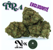 T.R.4 - EXCLUSIVITE [L'HERBE EN PROVENCE]