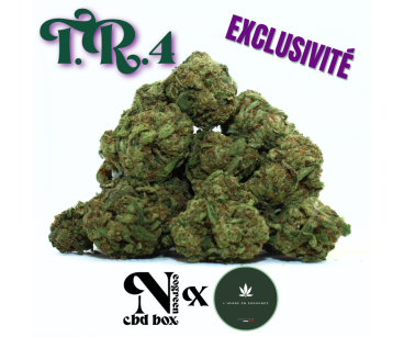 T.R.4 SMALL BUDS - EXCLUSIVITE [L'HERBE EN PROVENCE]