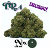 T.R.4 SMALL BUDS - EXCLUSIVITE [L'HERBE EN PROVENCE]