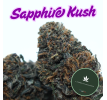 SAPPHIRE KUSH - [L'HERBE EN PROVENCE] DIVINE 💎