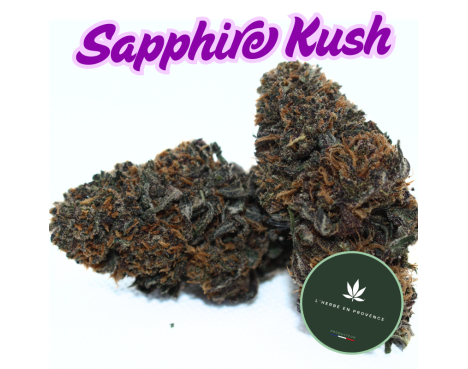 SAPPHIRE KUSH - [L'HERBE EN PROVENCE] DIVINE 💎