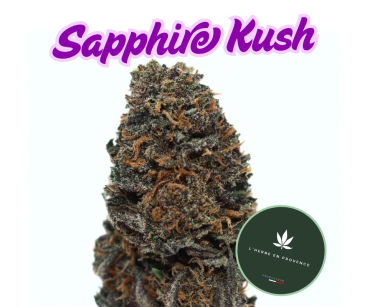 SAPPHIRE KUSH - [L'HERBE EN PROVENCE] DIVINE 💎