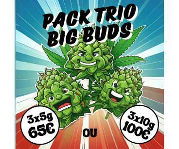 PACK TRIO BIG BUDS💎