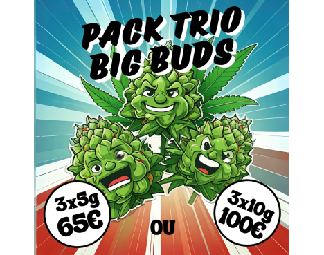 PACK TRIO BIG BUDS💎