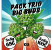 PACK TRIO BIG BUDS💎