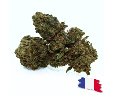 PINEAPPLE MEDIUM BUDS - ESSENTIELLE ⭐