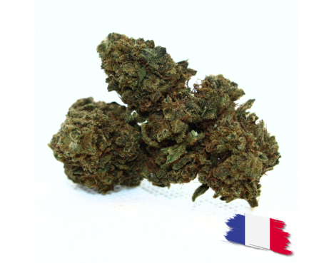 PINEAPPLE MEDIUM BUDS - ESSENTIELLE ⭐